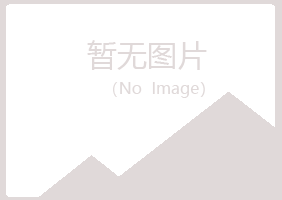 白银平川清新广告业有限公司